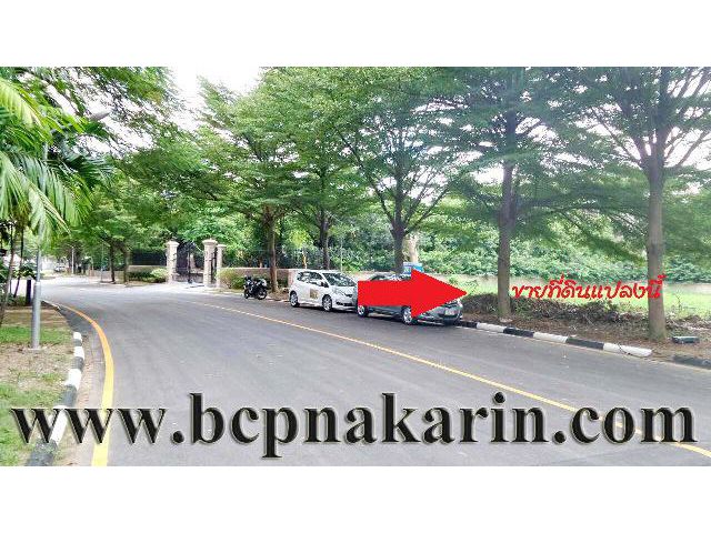 ขายที่ดินเปล่า ม.เบเวอรี่ ฮิลล์  ถนนแจ้งวัฒนะ เนื้อที่ 207.2 ตรว.