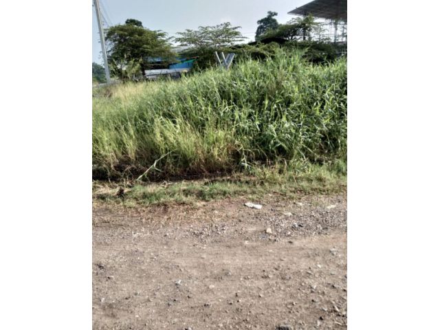 ขายที่ดิน 273 ตรว ธัญบุรี
