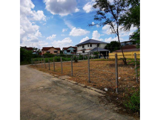 PP381 ที่ดิน173ตรว พุทธมลทลสาย2