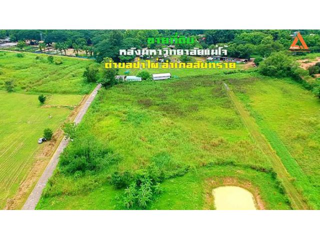 ขายที่ดิน หลังมหาวิทยาลัยแม่โจ้ แปลงละ 2 ไร่ จำนวน 3 แปลง