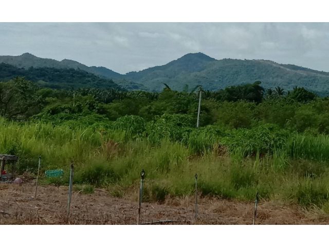 ขายที่ดิน นส 3 ก. ที่ดิน 17 ไร่ 20 ตรว. ด้านหน้าติดถนนลาดยางชนบท บนเนิน วิวเขา เหมาะทํารีสอรท์