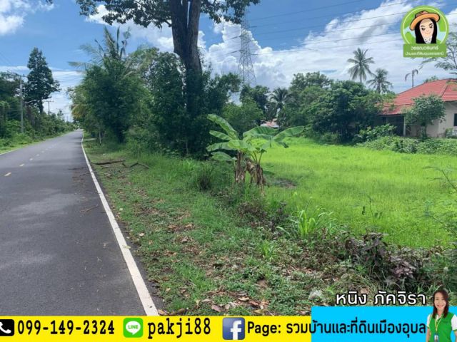 ที่ดินติดถนนลาดยาง บ้านบัววัด/ใกล้ม.อุบล