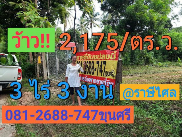 ขายที่ดินราษีไศล 3 ไร่ 3 งาน ซอยวัดป่ากุดเวียงคำ ตำบล เมืองคง อำเภอ ราษีไศล จังหวัดศรีสะเกษ☆☆☆☆☆