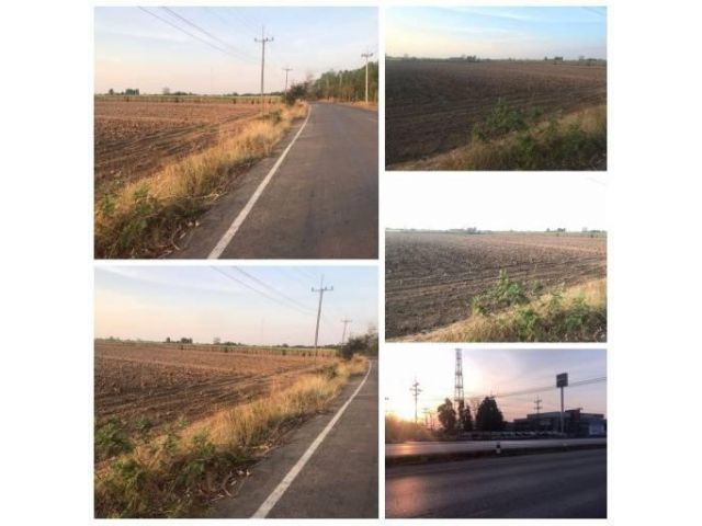 ขายที่ดินมีโฉนด แก่งสีเสียด ตำบลสระแก้ว อำเภอเมือง จังหวัดสระแก้ว