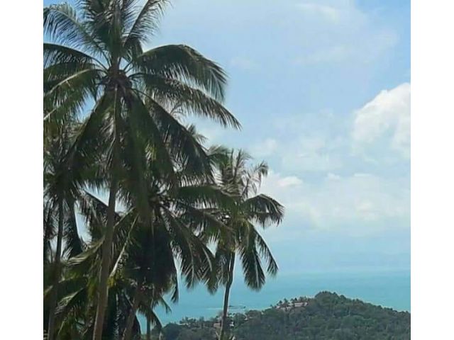 Land for sale see view taling ngam