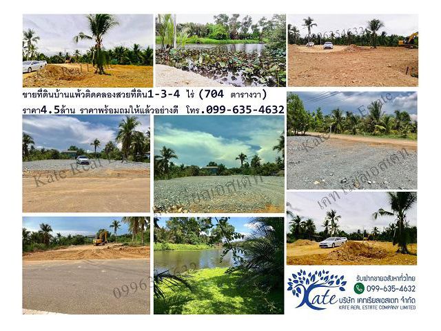 ขายที่ดินบ้านแพ้ว ถมเรียบร้อย 704 ตรว