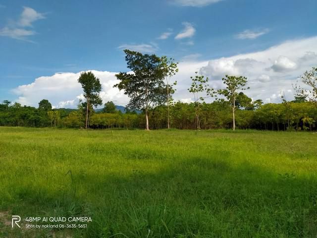 แบ่งขายที่วิวเขาแสนสวย แก่งคอย สระบุรี