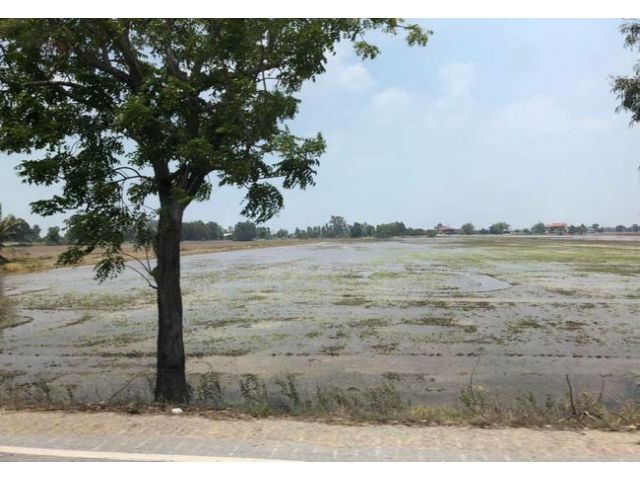 ขาย ที่ดิน ใกล้อบต.วังพัฒนา ถนนกรุงเทพ-สุพรรณบุรี อ.บางซ้าย จ.พระนครศรีอยุธยา