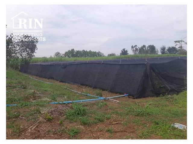 R074-082 ขายที่ดินสระแก้ว 6-3-40 ไร่ ซอยสุขาภิบาล 4 วังน้ำเย็น