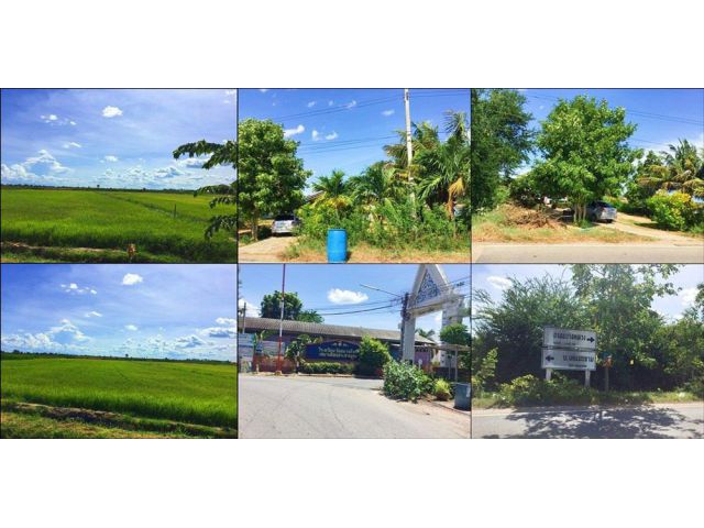 ขายที่ดินเนื้อที่ 4 ไร่ ทางเข้าวัดโรงเรียนวัดปทุมทองสุทธาราม สุพรรณบุรี
