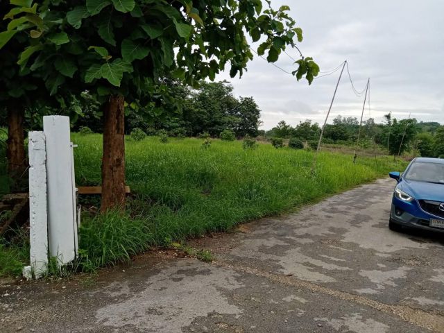 ขายที่ดิน2ไร่57ตรว.ใกล้ๆๆแหลางท่องเที่ยว