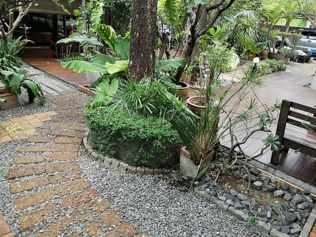 ขายด่วน ที่ดินพร้อมสวนสวย 100 ตรว.ลาดพร้าว 71​