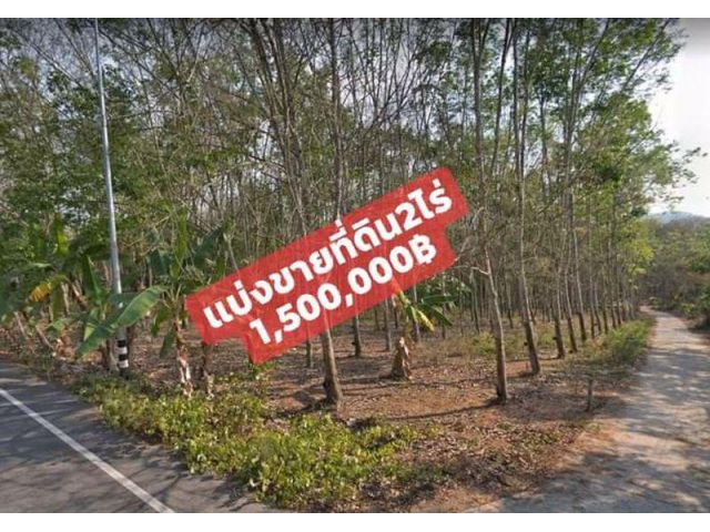Ps124 แบ่งขายที่ดิน2ไร่บางบุตร บ้านค่ายระยอง ถูกๆ