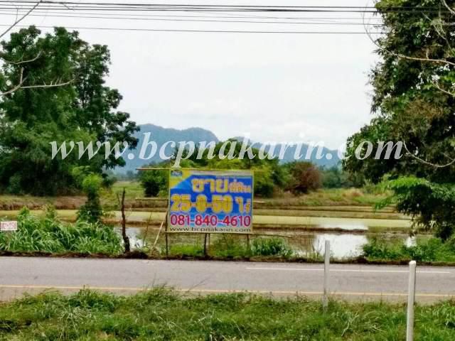 ขายที่ดินเปล่า เพชรเกษม เนื้อที่ 10,050 ตร.ว.