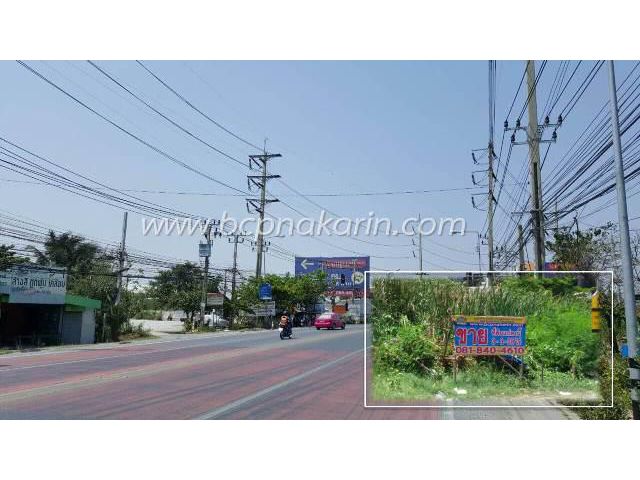 ขายที่ดินเปล่า วัดศรีวารีน้อย ซ.วัดศรีวารีน้อย (บางนา) เนื้อที่ 1,508 ตร.ว.