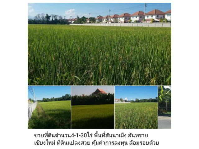 ขายที่ดินจำนวน4-1-30ไร่ พื้นที่สันนาเม็ง สันทราย เชียงใหม่ ที่ดินแปลงสวย คุ้มค่าการลงทุน ล้อมรอบด้วยหมู่บ้านจัดสรร