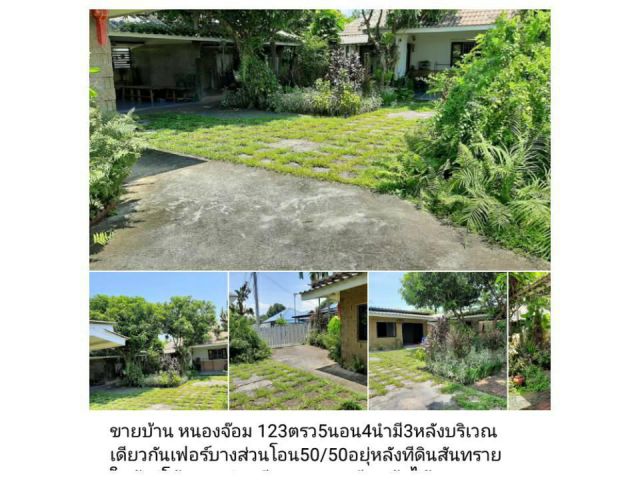 ขายบ้าน หนองจ๊อม 123ตรว5นอน4นำมี3หลังบริเวณเดียวกันเฟอร์บางส่วนโอน50/50อยุ่หลังทีดินสันทรายใกล้แม่โจ้ตลาดท่าเกวียนสุดซอย