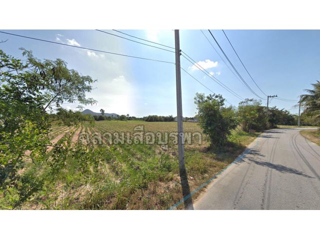 ขายที่ดิน 33ไร่เศษ ด้านหน้าติดถนน ด้านหลังติดคลอง ตั้งอยู่ต.สำนักท้อน อ.บ้านฉาง จ.ระยอง