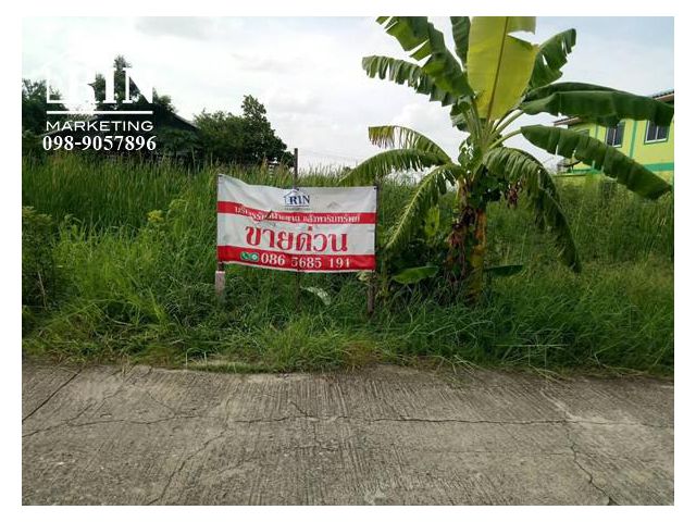 ด่วน ถูกมาก ที่ดิน 100 ตร.ว. สุวินทวงศ์ 28 เเยก 3 ซอยมะกอกนิมิตร ใกล้รถไฟฟ้าสายสีชมพู เเคลาย-มีนบุรี