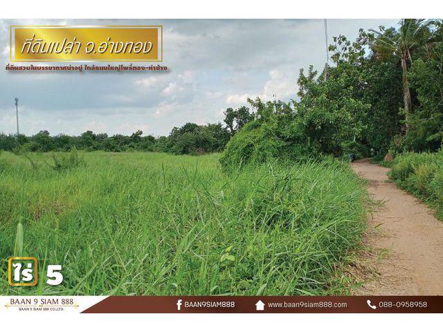 ที่ดินเปล่า จ.อ่างทอง ใกล้ถนนใหญ่โพธิ์ทอง-ท่าช้าง
