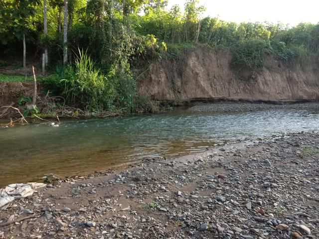 นี่เลยที่วิวงาม ที่ดินติดลำธาร จังหวัดน่าน 