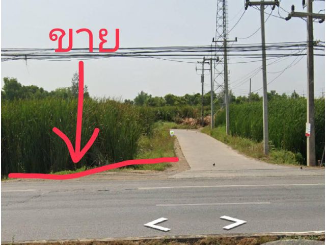 ขายที่ดินติดถนนพหลโยธิน ต.ชะแมบ วัวน้อย อยุธยา เนื้อที่ 119 วา