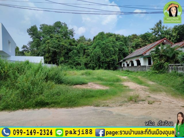 ที่ดินสร้างบ้านครึ่งไร่  ต.กุดลาด/อุบลฯ