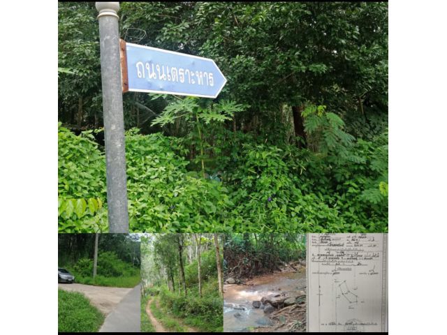 ขายที่ดินสวนยางติดลำธารน้ำตกบ้านพรุ12 ไร่ 86 ตารางวา นส.3 ก ขายรวม 3ล้านบาท