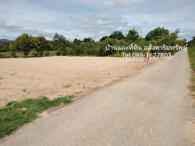 ขายที่ดินราคาพิเศษ ลาดหญ้ากาญจนบุรี