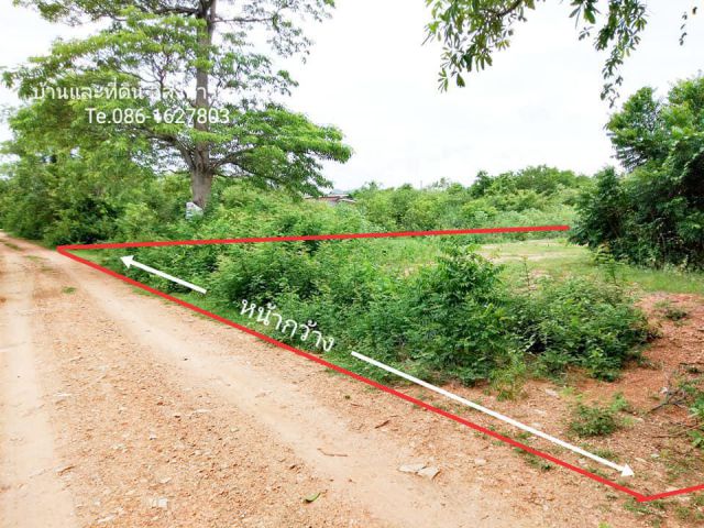 ขายที่ดินลาดหญ้ากาญจนบุรี 100 ตรว. เริ่ม 4.2 แสน เท่านั้น
