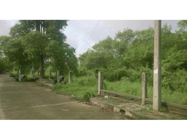 ขายที่ดินในโครงการบ้านสวยล้อมสวน ดอยสะเก็ต
