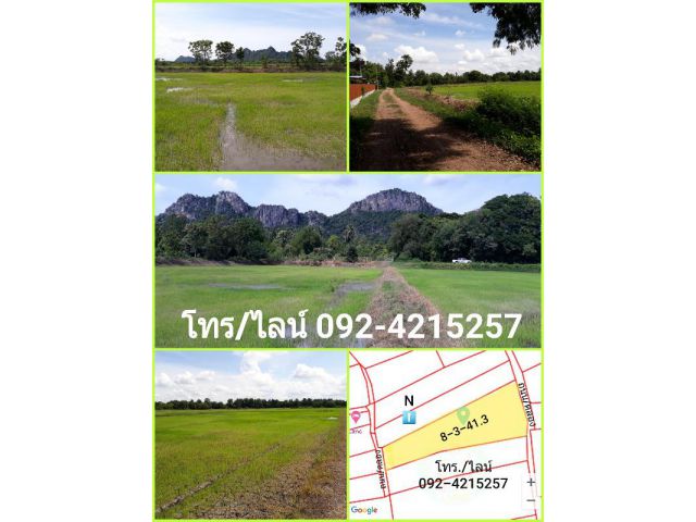 ขายที่นา วิวภูเขาสวยๆ ราคาถูก อ.ปากท่อ จ.ราชบุรี