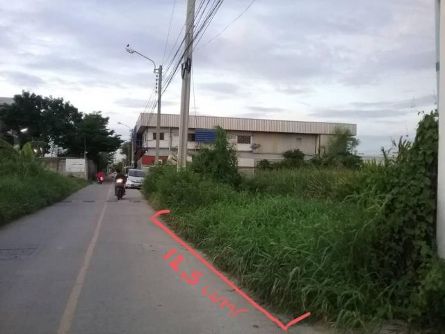 PS164L164 ขายที่ดินเปล่า 97 วา ย่านศรีนครินทร์-ศรีด่าน