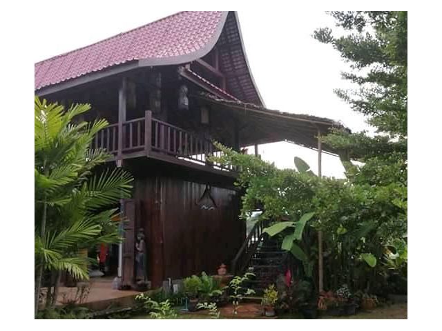 ที่ดินพร้อมสิ่งปลูกสร้าง แม่ริม
