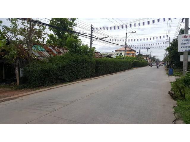 ขายที่ดิน  45 ไร่ วัดคลองมะเดื่อ สมุทรสาคร ไร่ 6.5