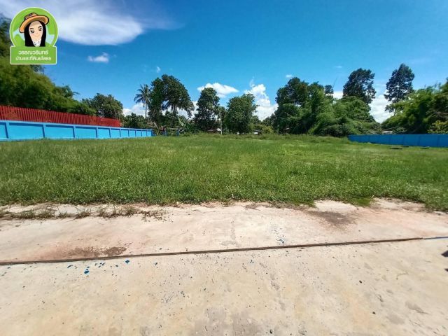 ที่ดินสร้างบ้านถมดิน/ พร้อมกำแพง เนื้อที่เกือบไร่  ต.กระจาย อ.ป่าติ้ว จ.ยโสธร