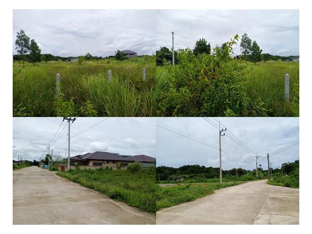(ขายด่วน ที่สวย ราคาดี) เสนอขายที่เปล่า เหมาะสำหรับปลูกสร้างบ้าน ทำเลดี เนื้อที่ 3 งาน 78 ตารางวา ท่าช้าง อำเภอเมือง จัน