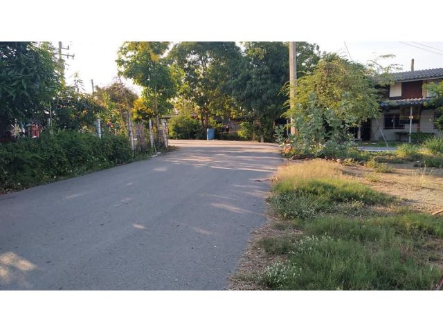 ขายที่ดิน1-2-48ไร่ ติดถนนลาดยางหมู่บ้าน ใกล้รั้วม.้กษตร กำแพงแสน