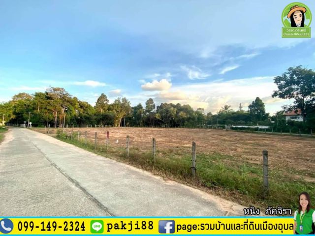 ที่ดินสร้างบ้านทำเลดี/วิวสวย  พิกัดบ้านหัวดูน