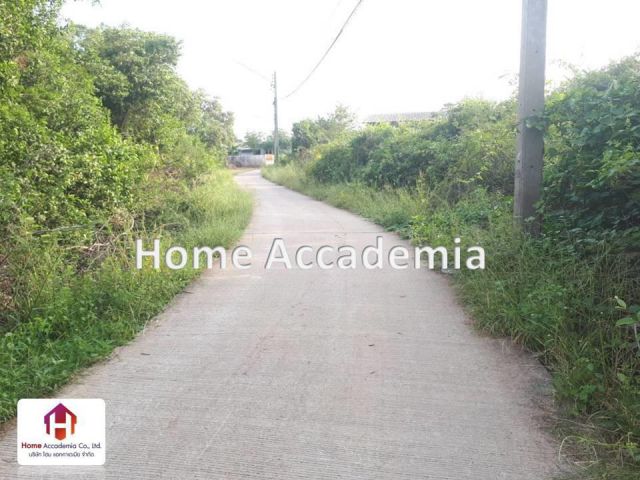 ขายที่ดิน 374 ตรว. ห่างจากแม่น้ำเจ้าพระยา 60 เมตร ตำบลบ้านพลับ (เกาะเกิด) บางประอิน อยุธยา