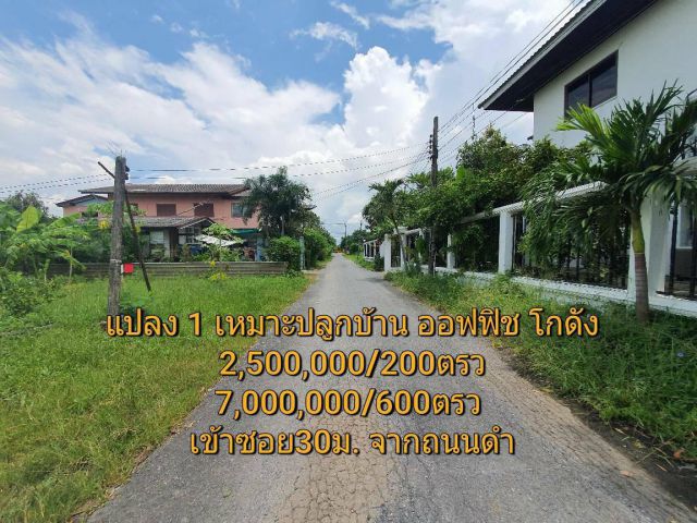 ขายที่ดินเปล่า 200ตร.ว. หน้ากว้าง36เมตร อยู่ซอยไมตรีจิต32 จากถนนใหญ่เข้าไปที่ดินเพียง30 เมตร ราคาถูก