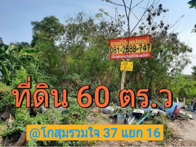 ขายที่ดินดอนเมือง 60 ตารางวา ถมแล้วทั้งแปลง ซอย โกสุมรวมใจ 37 แยก 16 เขต ดอนเมือง,กรุงเทพมหานคร