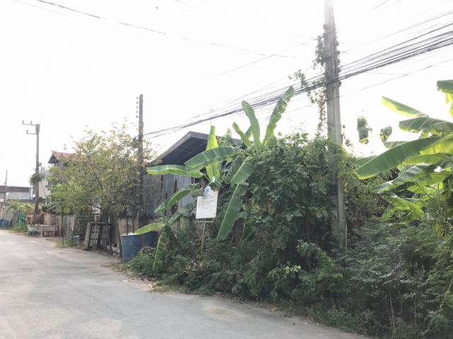 ขายที่ดิน 145 ตรว. ใกล้รถไฟฟ้าเพียง ถมแล้ว ใกล้ฟิวรังสิต