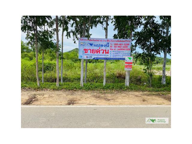 ที่ดิน1-1-1  ไร่  อ.สามร้อยยอด  จ.ประจวบ