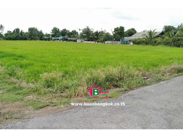 ที่ดินเปล่า ซอยลุงแม้ว เนื้อที่ 5 ไร่ ถนนทางหลวงแผ่นดินหมายเลข 3004 บางใหญ่ นนทบุรี