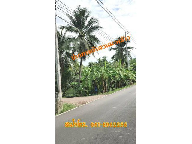 ขายสวนมะพร้าวใกล้ตลาดน้ำฯ ราชบุรี
