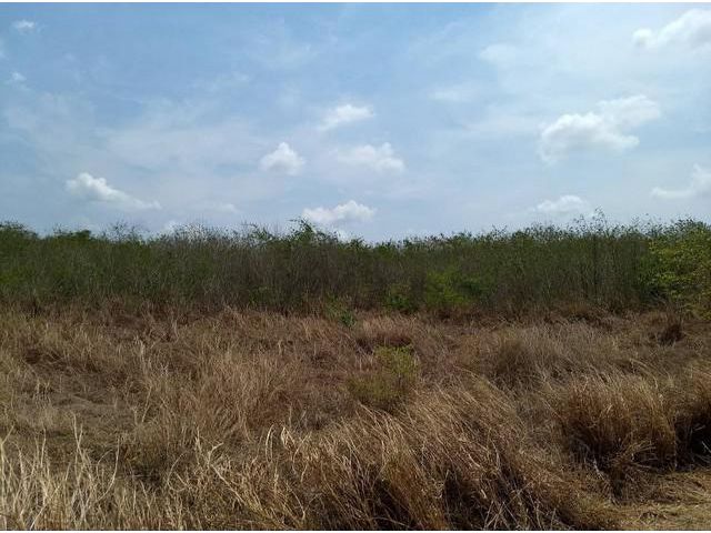 ขายที่ดินเปล่า จ.ลพบุรี เหมาะทำรีสอร์ทหรือทำเกษตร