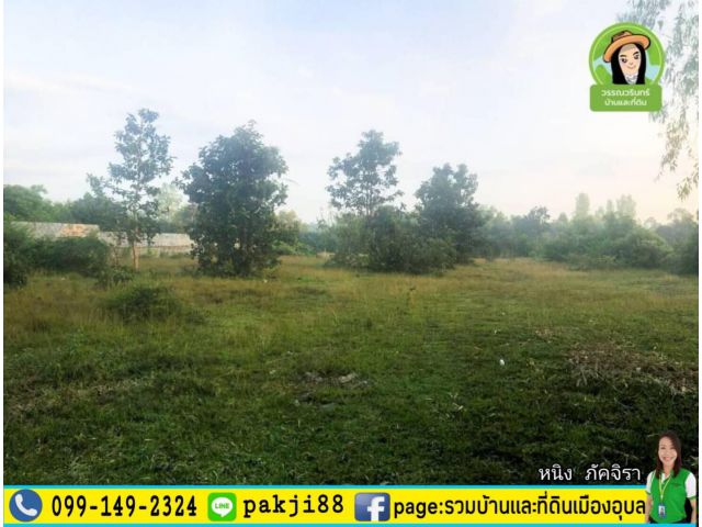 ลดให้เลย 1 แสนบาท เหลือ  790,000 ที่ดินใกล้สวนสัตว์อุบลฯ