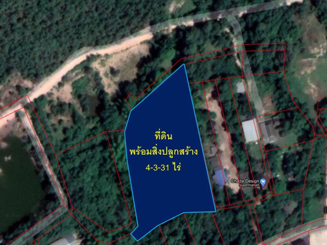 ขายที่ดินเปล่า 4-3-31ไร่ (ต.แม่โป่ง อ.ดอยสะเก็ด)