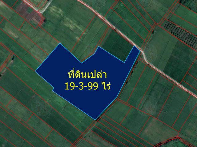 ขายที่นา 19-3-99 ไร่ (ต.แม่ฮ้อยเงิน  อ.ดอยสะเก็ด)